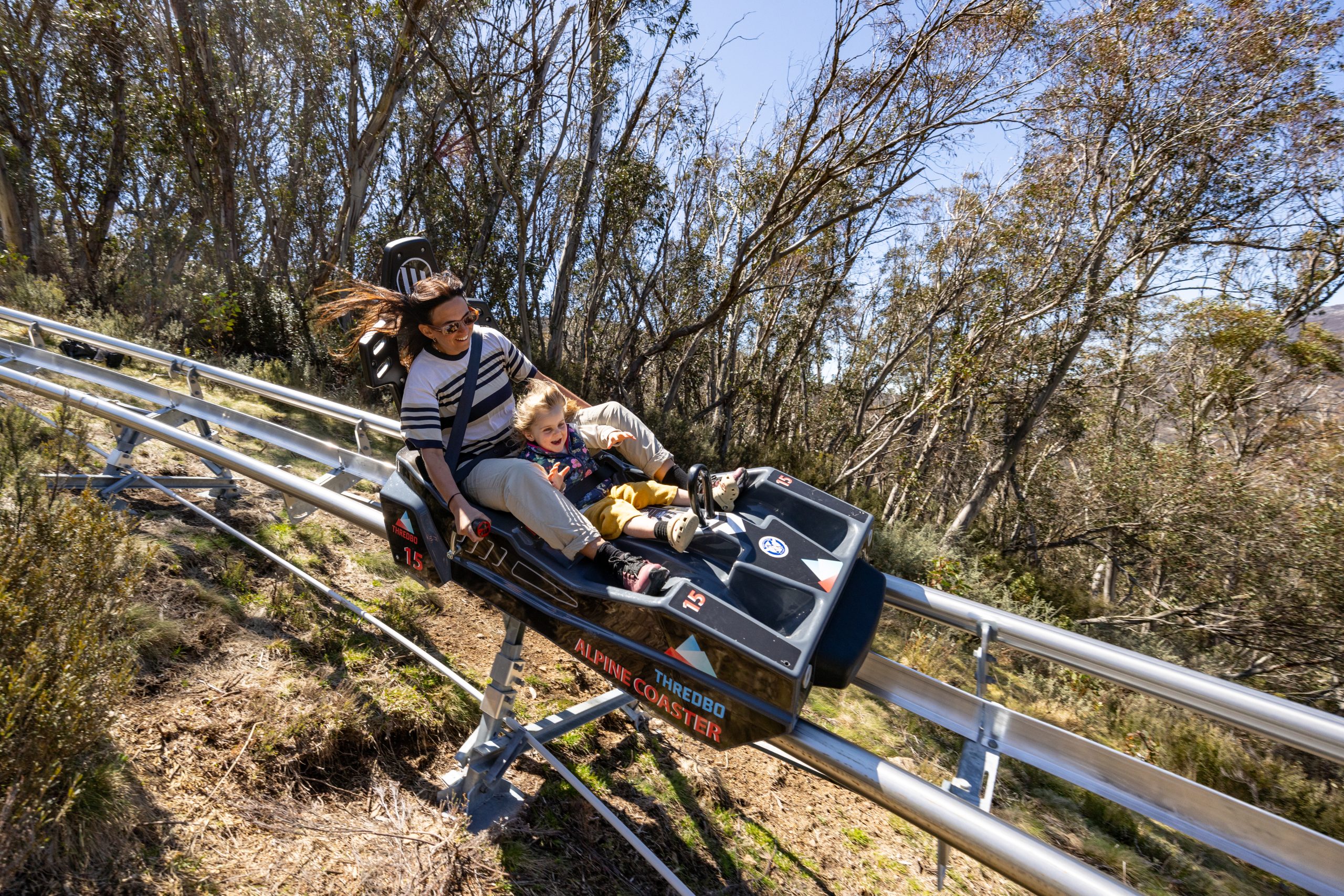 Thredbo Alpine Coaster | Alpine Country Holidays