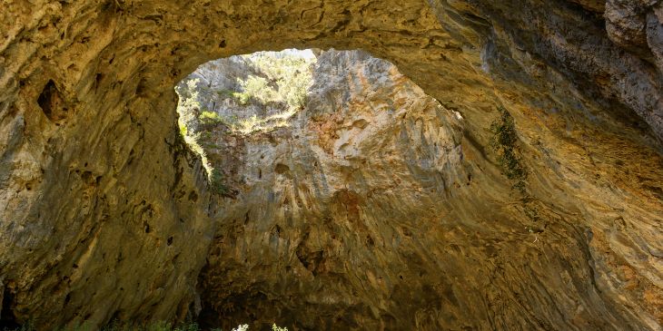 Skylight at Yarrangobilly Caves