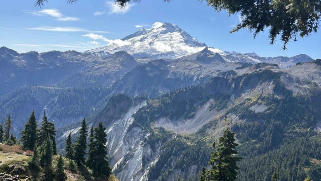 Snowy Mountain in summer