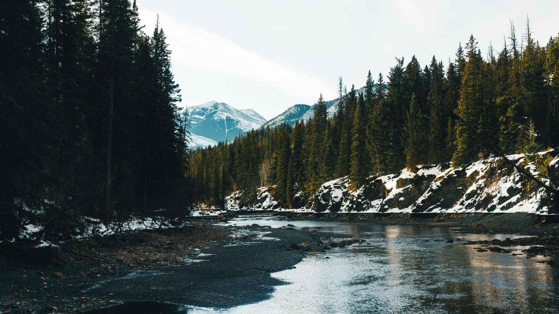 Snowy river